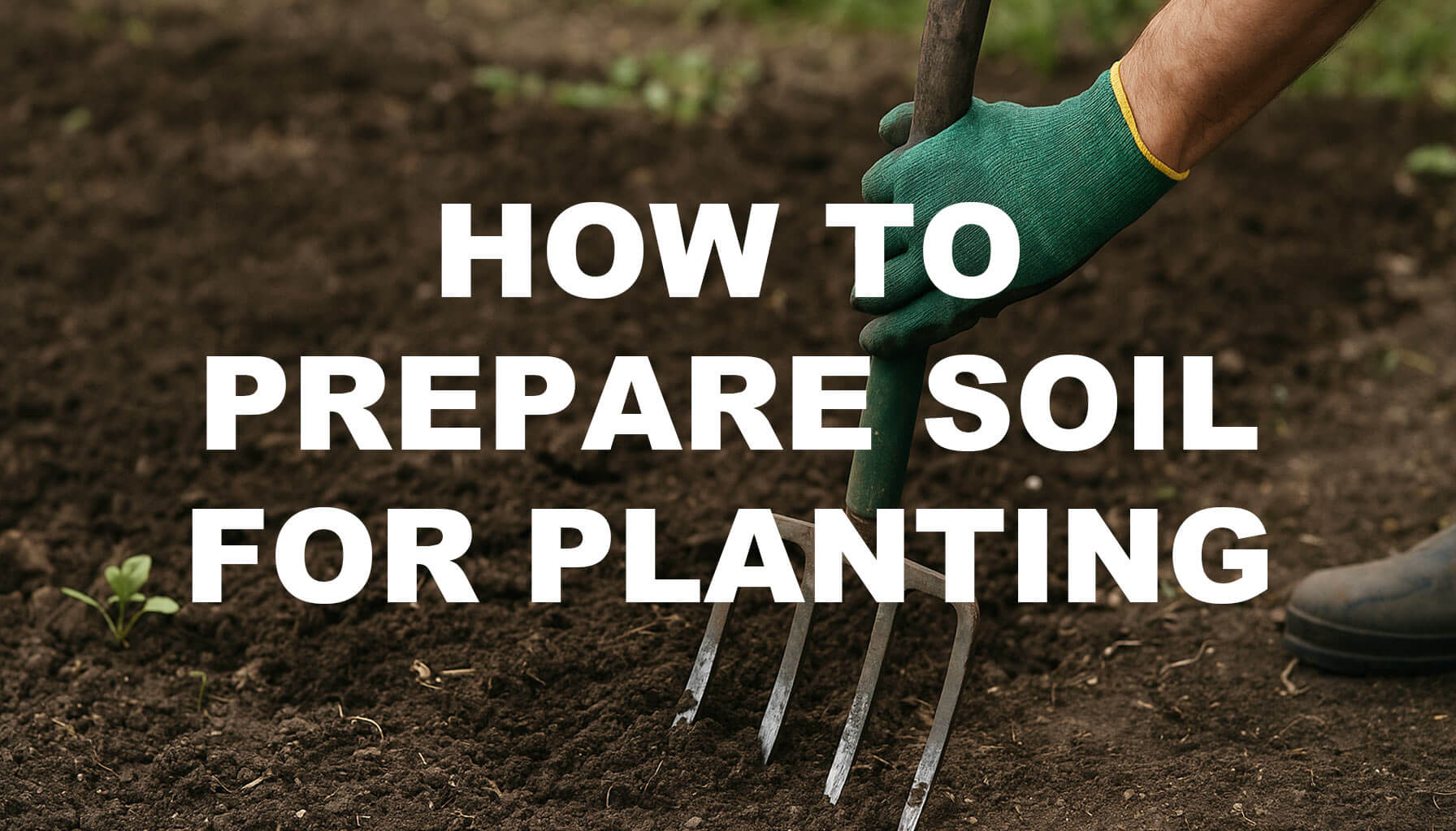 How to Prepare Soil for Planting (UK Guide)